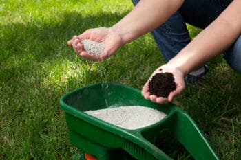 fertilize in spring