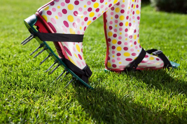 woman aerating lawn
