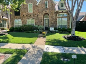 yard of the month ryno lawn care flower mound lewisville frisco