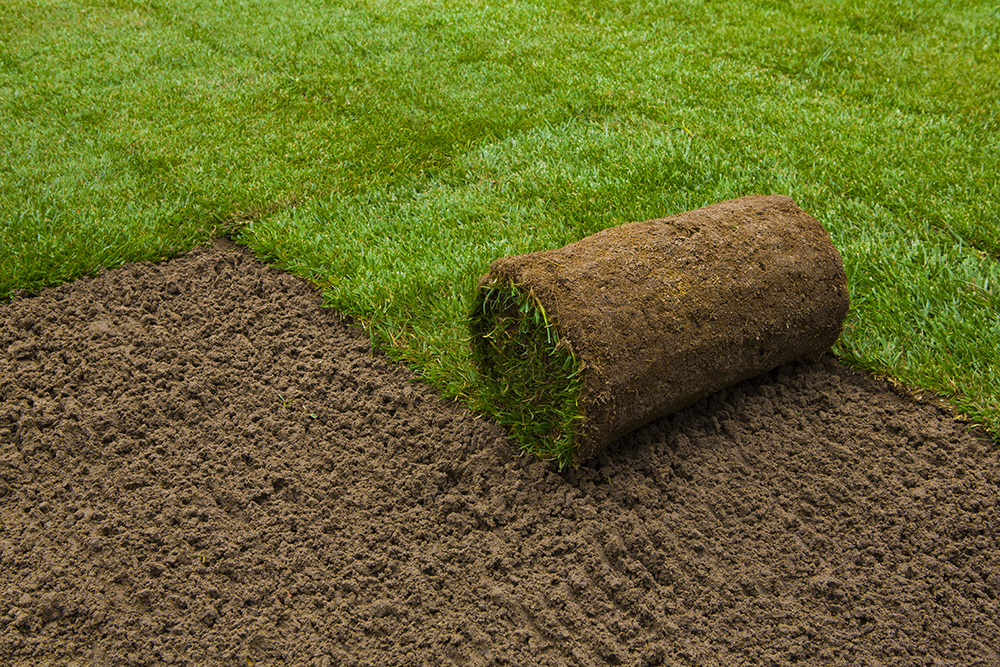 Sod Installation Lewisville, TX Ryno Lawn Care, LLC