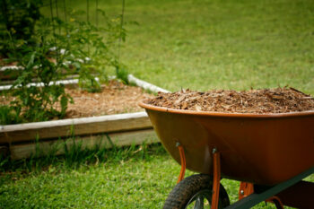 raised veggie bed