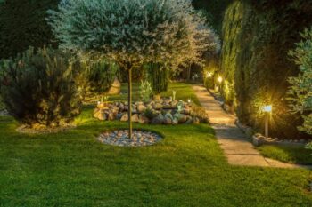 well-lit backyard