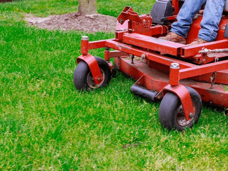 lawn mowing service