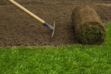 sod installation northlake tx