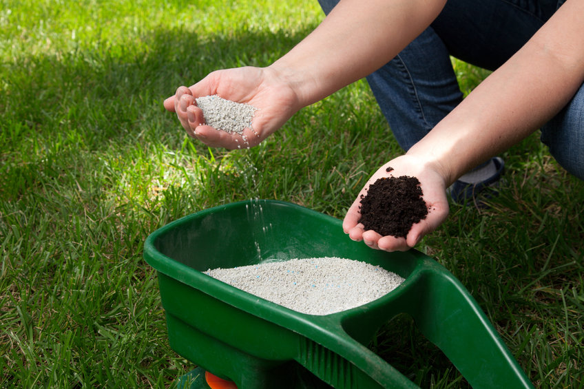 when to apply lawn fertilizer in spring