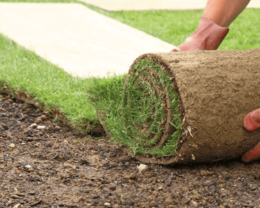 Sod installation coppell TX