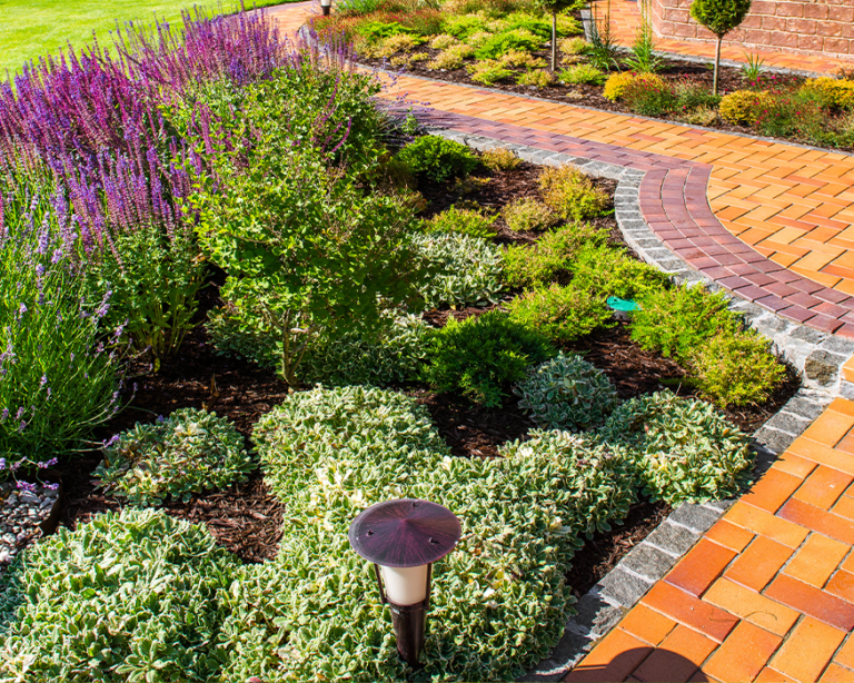 flowerbed landscaping grapevine