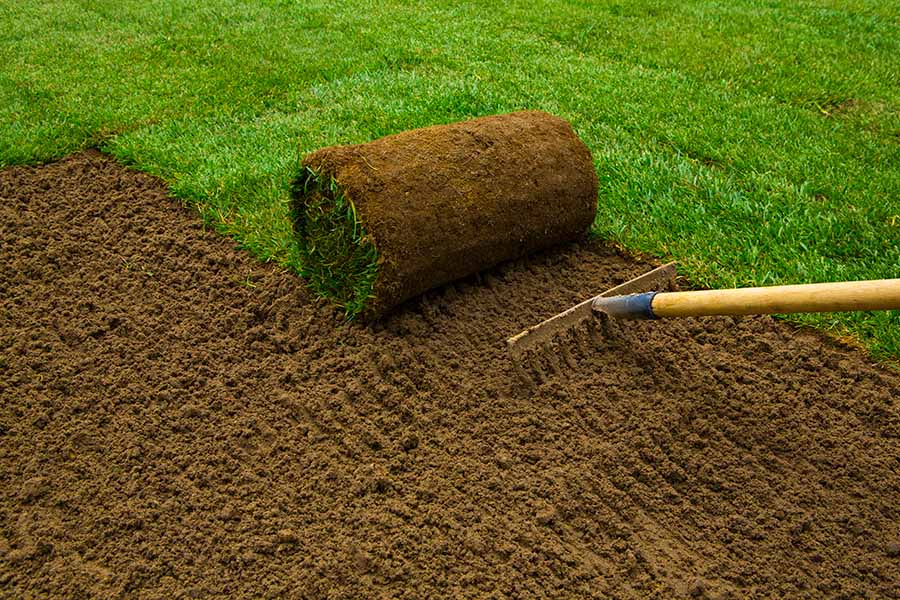 how to remove grass before laying sod