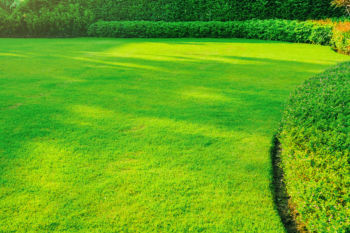 how to apply fertilizer on your lawn