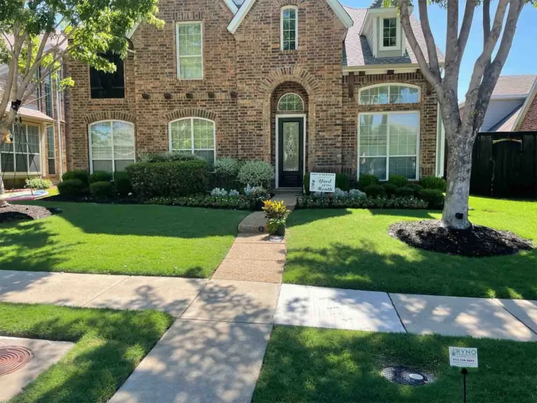 yard of month flower mound ryno lawn care