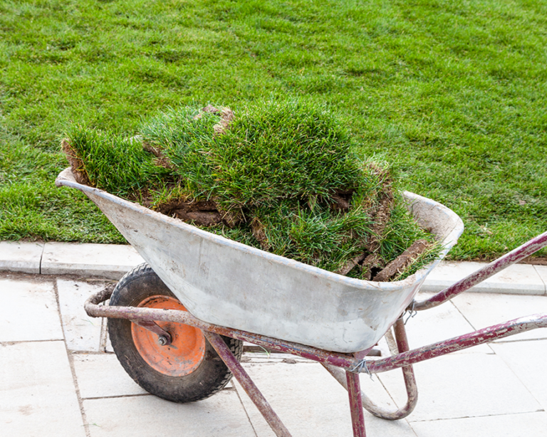 installing sod in tophy club