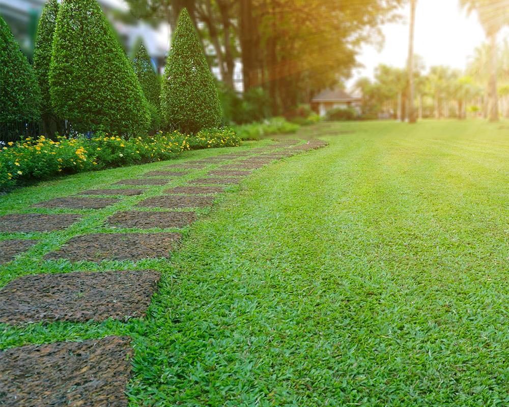 lawn maintenance frisco tx