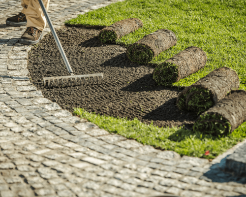 sod installation corinth texas