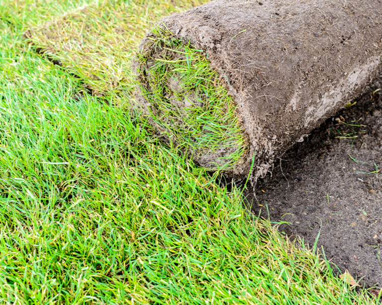 installing sod in highland village