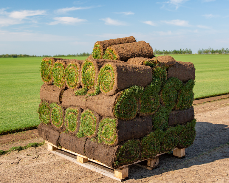 sod installation pallet in Southlake