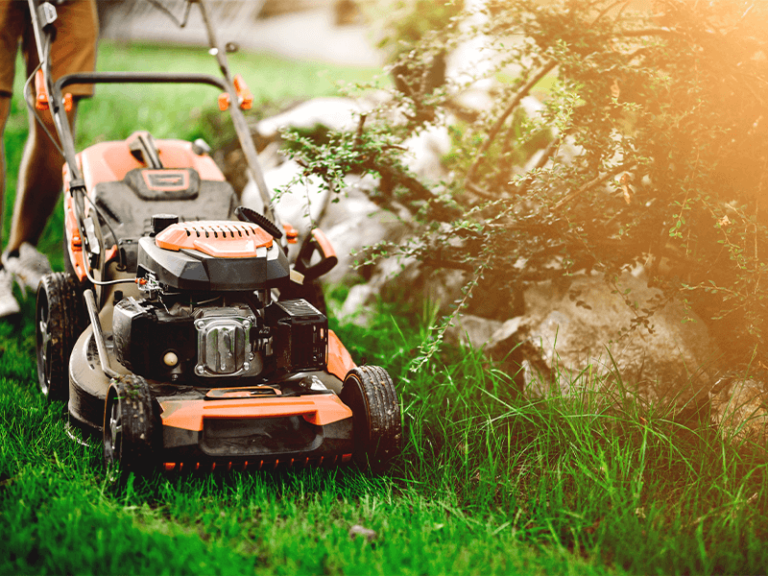 lawn care DFW