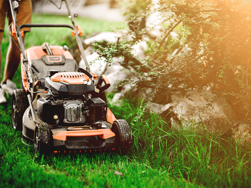 Lawn Services | Ryno Lawn Care, LLC