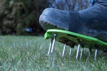 best lawn care practices