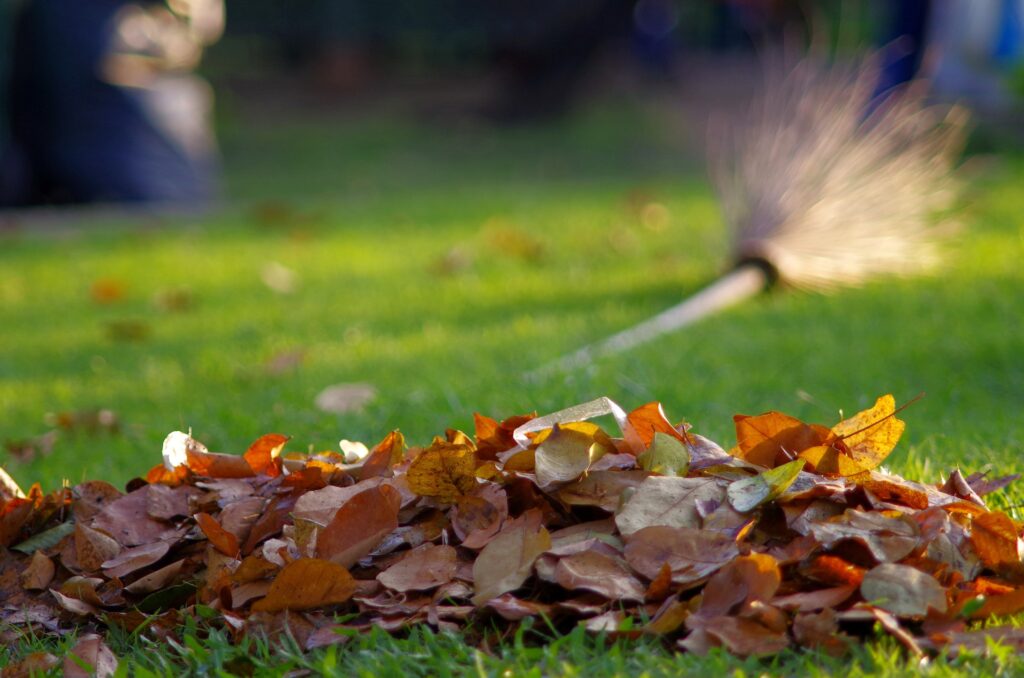 What does fall yard cleanup include?