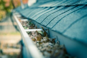 clean gutters in fall