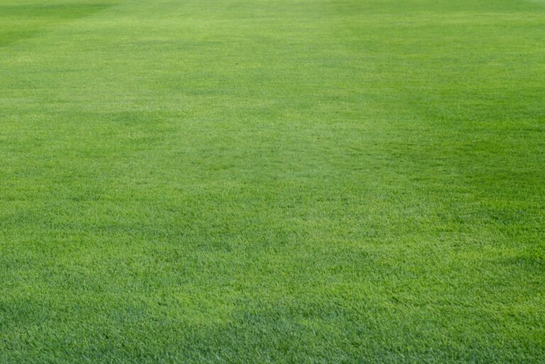 Lawn leveling for the growing season