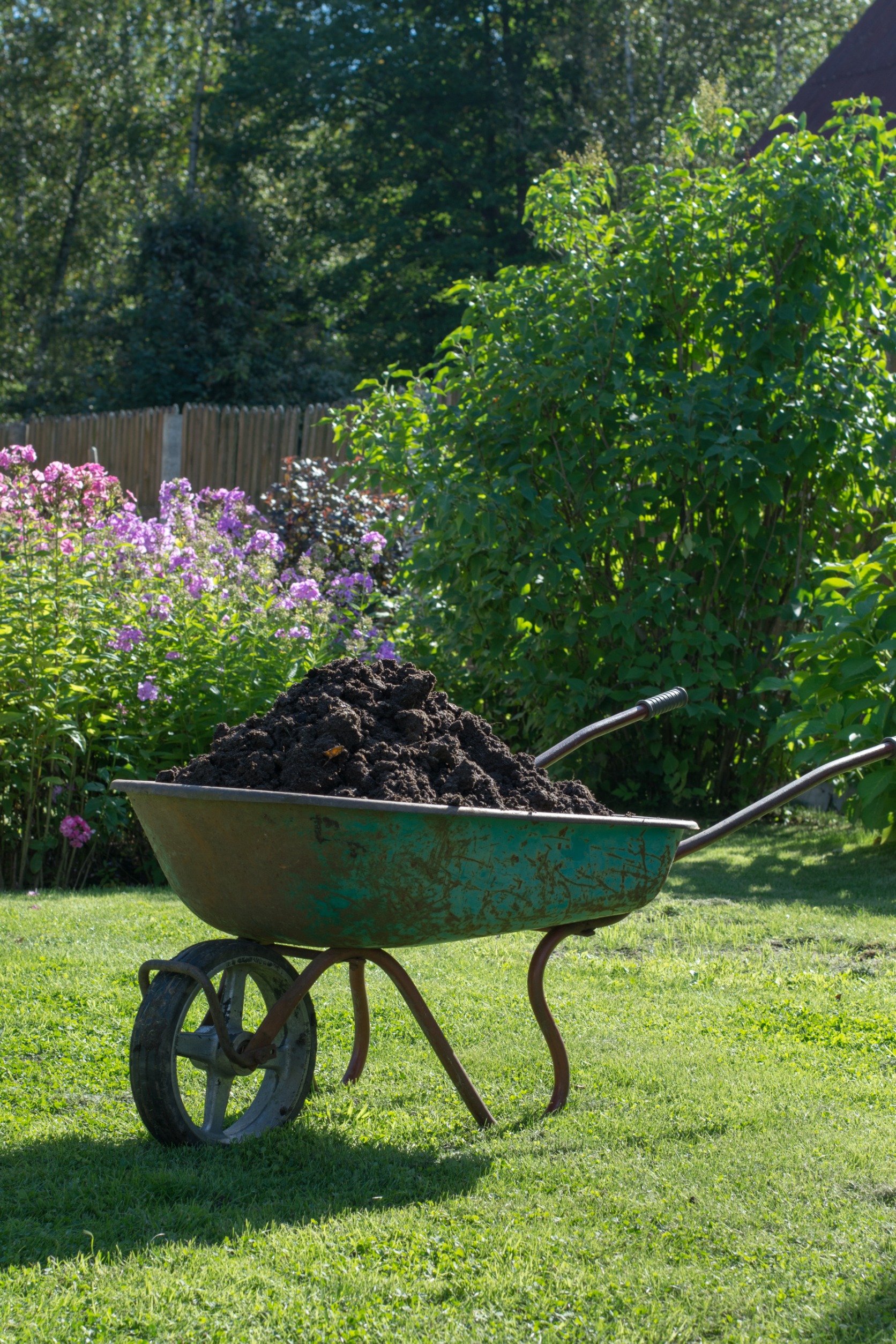 Top Dressing Lawn Service
