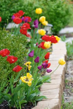 flowerbed landscaping