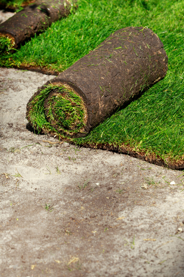 westlake sod install