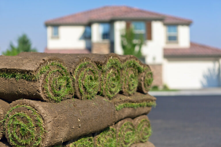 westlake TX sod installation