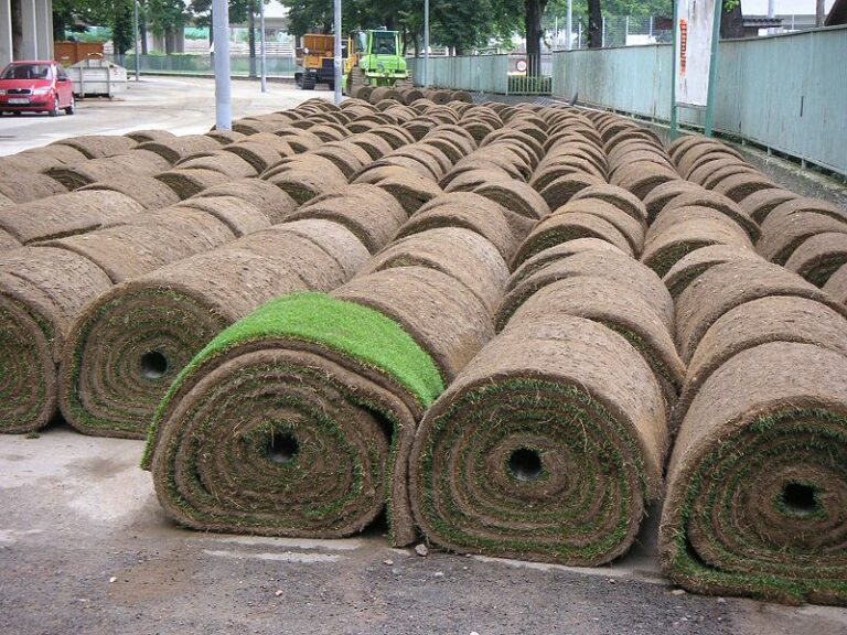 sod installation westlake TX