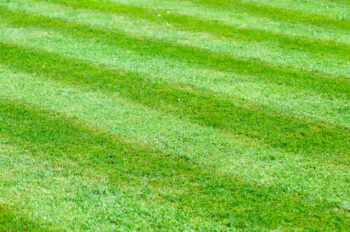 build a DIY lawn striper kit