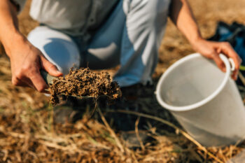 how to test soil pH with test strips