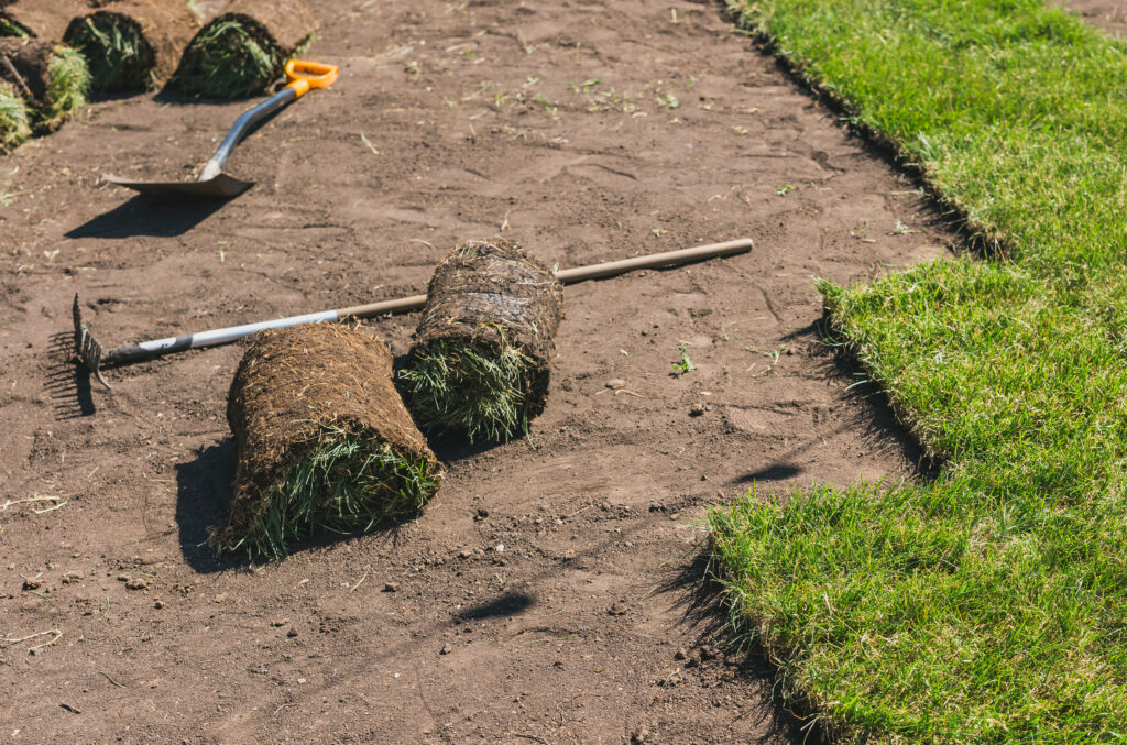 how to repair bare spots in lawn