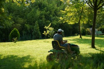 how to keep grass green in summer