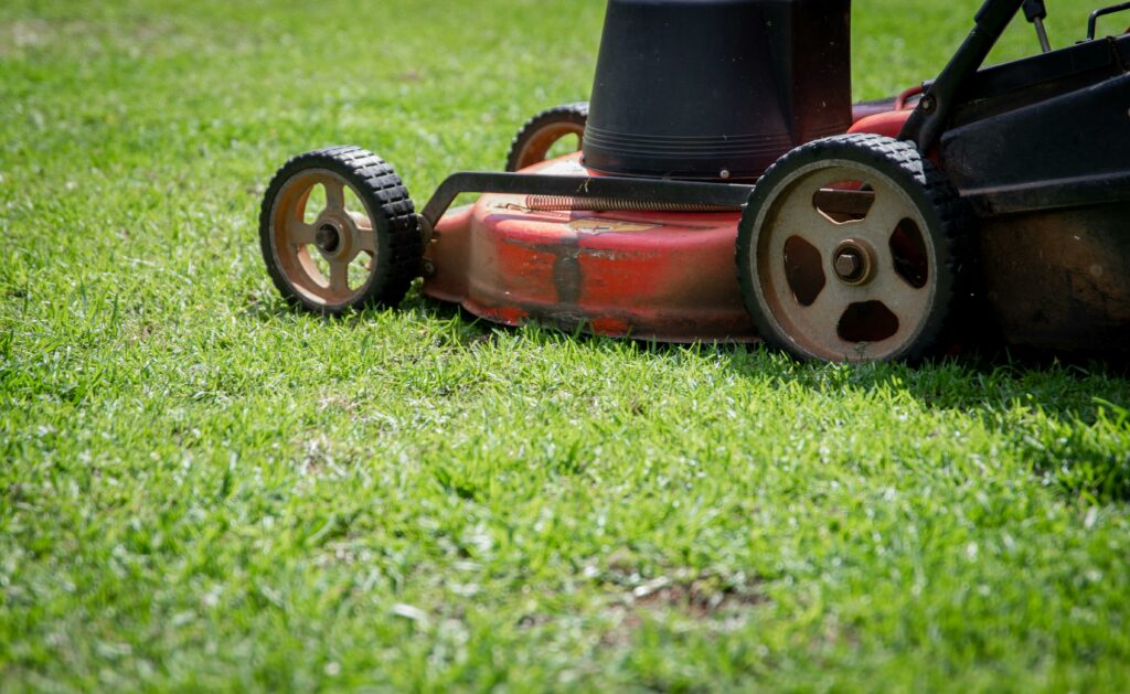 lawn mowing in fall