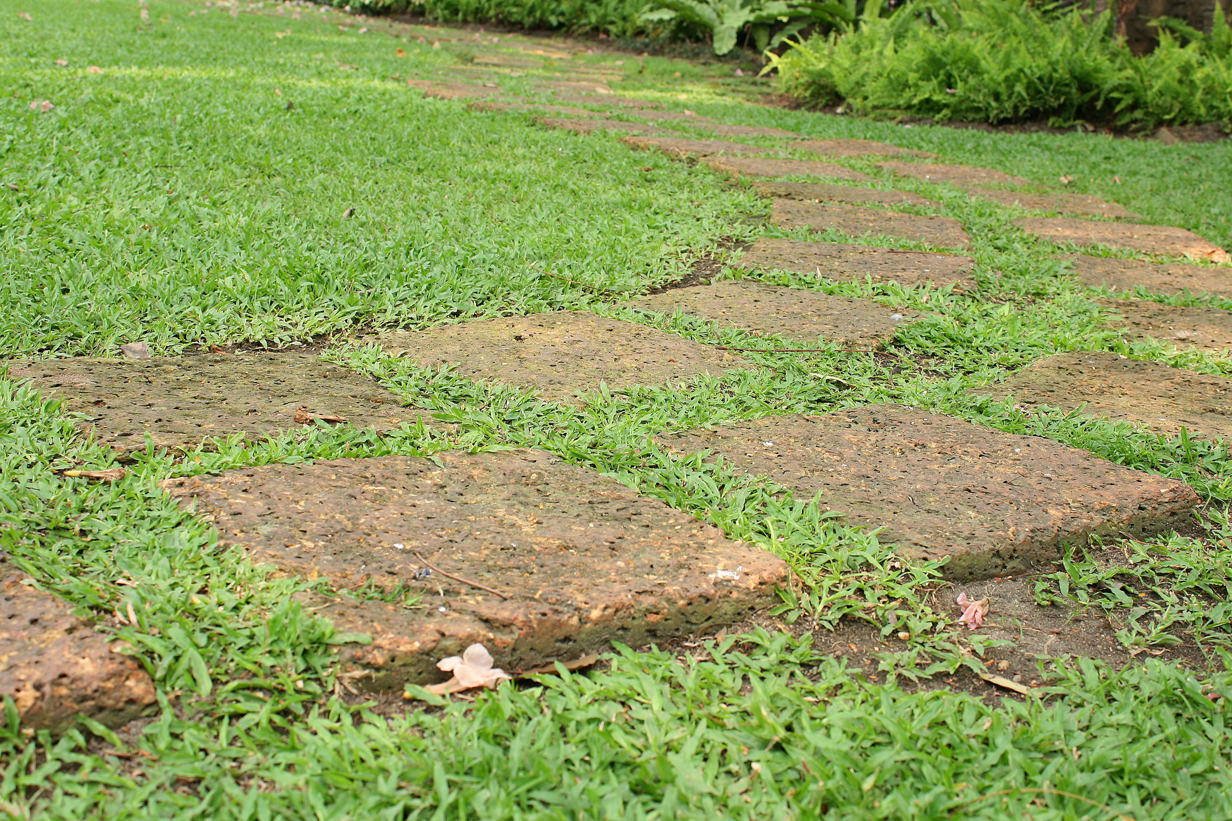 how to fix muddy lawn in winter