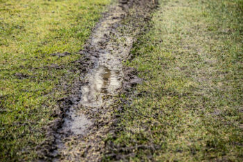 how to fix muddy lawn