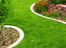 green-lawn-768x512-1.webp