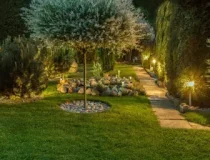landscape-lighting-in-garden-768x512-1.webp