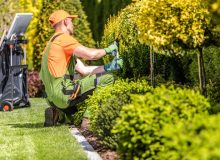 lawn-care-service-professional-trimming.jpg