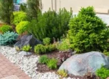 southlake trophy club landscaping services